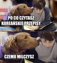 dog-1.jpeg
