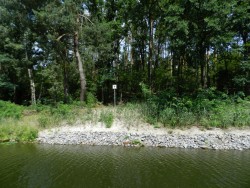 DSCN0090.jpg