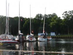 IMG_6082.JPG