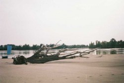 wisła051.jpg