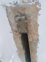 IMG_20240629_090435.jpg