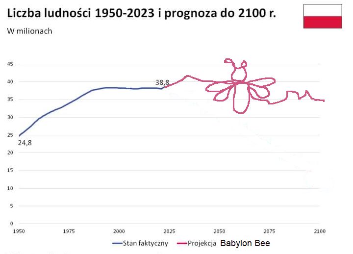 projekcja.jpg