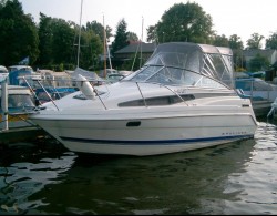 Bayliner Michała.jpg