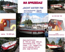 Aster 700.jpg