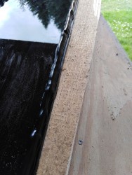 IMG_20250609_165340.jpg
