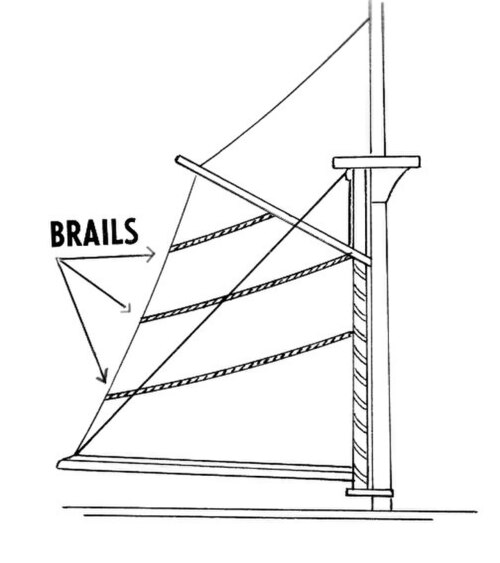 Brail_(PSF).jpg
