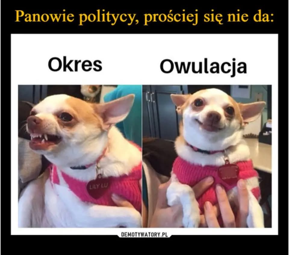 FB_IMG_1756966094479.jpg