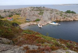 Kallskaer.jpg