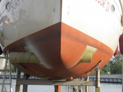 IMG_9764.JPG