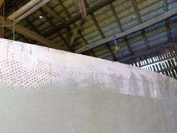 IMG_20251004_150326.jpg
