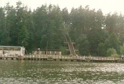 skanowanie0001.jpg