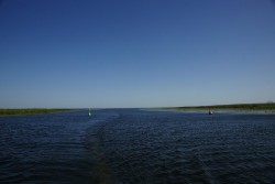 2009-08-25_0.jpg