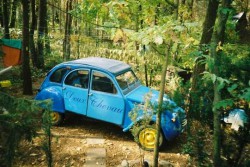 Citroen 2cv m.jpg