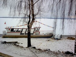 Zdjęcie0952.jpg