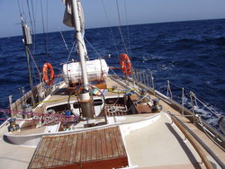 PB090059.JPG