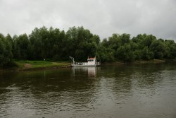 Słodkowodnie.jpg