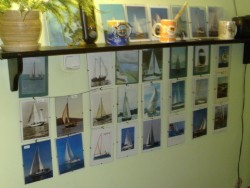 IMAG0030.JPG
