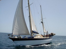 view2.jpg